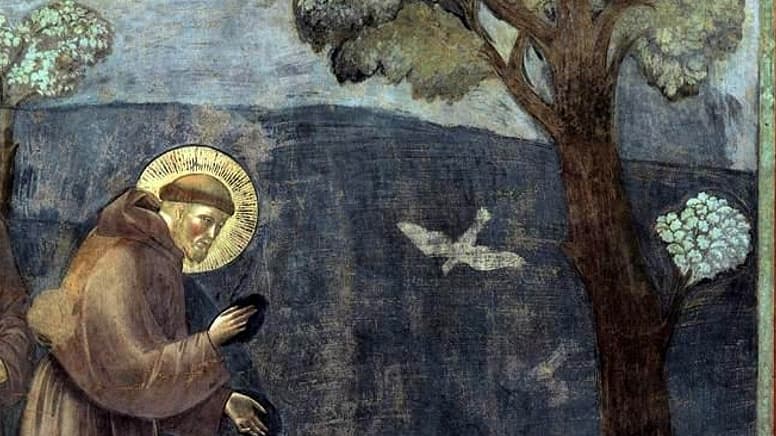 st françois