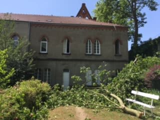 Jardin du monastère après la chute de branches